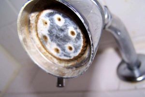 don't replace shower heads just get a water softener