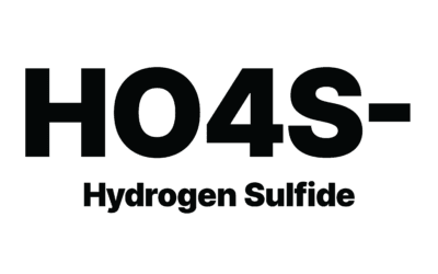 Hydrogen Sulfide