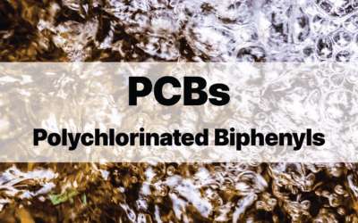 Polychlorinated Biphenyls